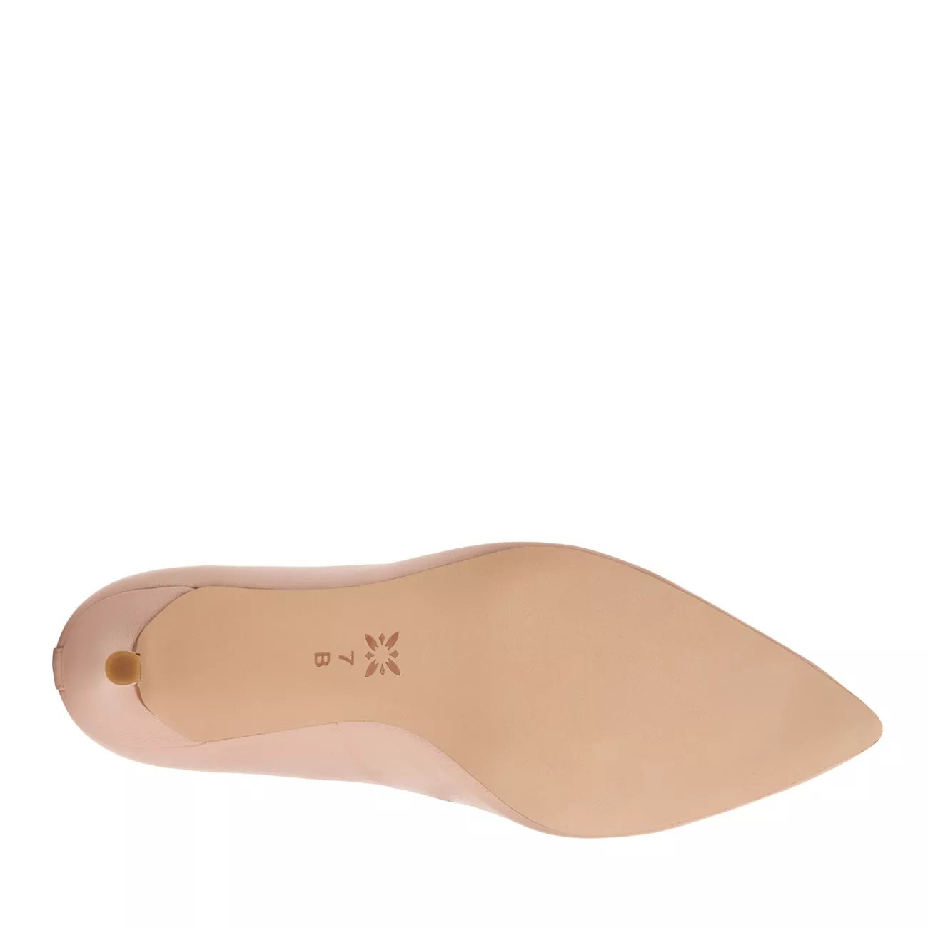 bcbg marci