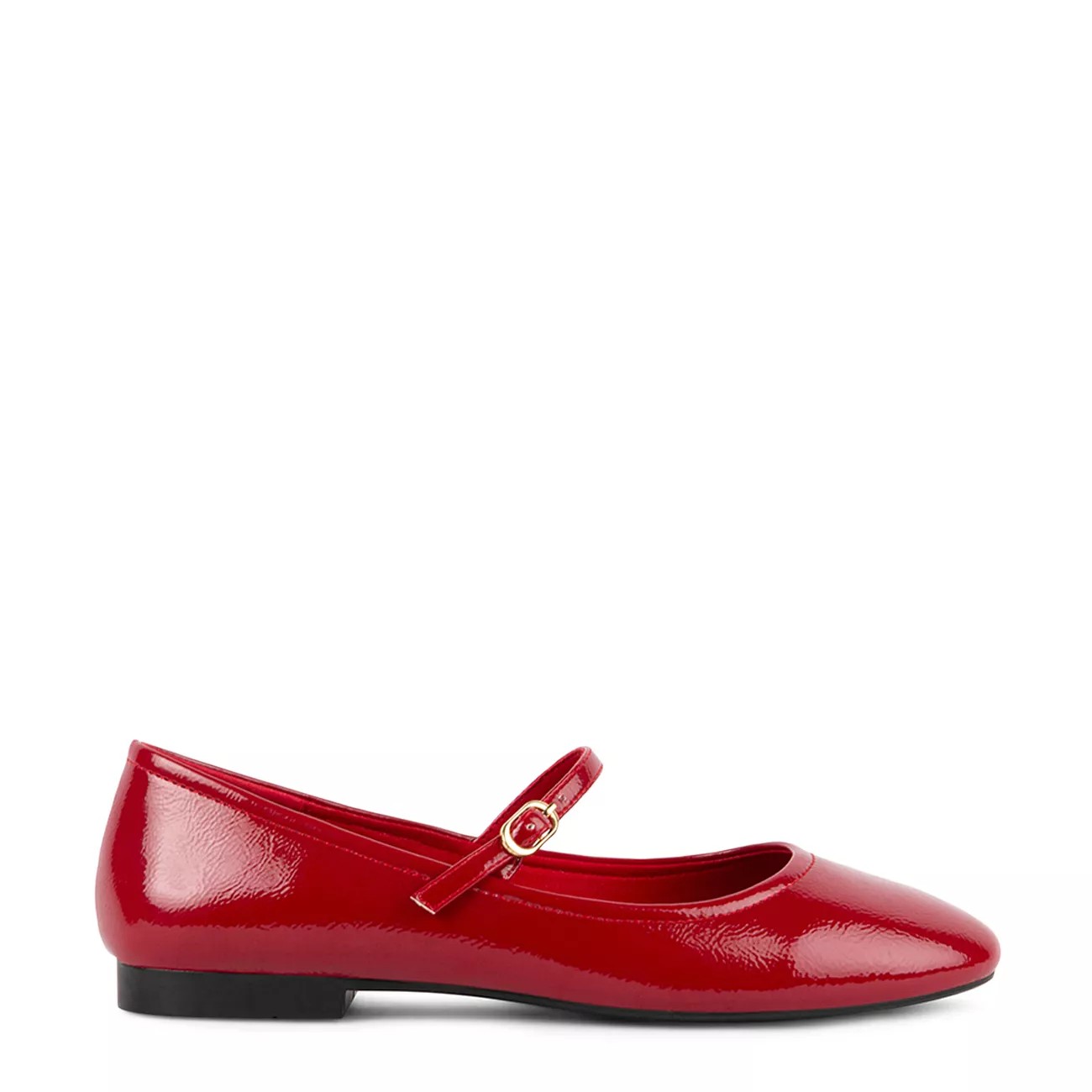 Danseur Mary Jane Flat