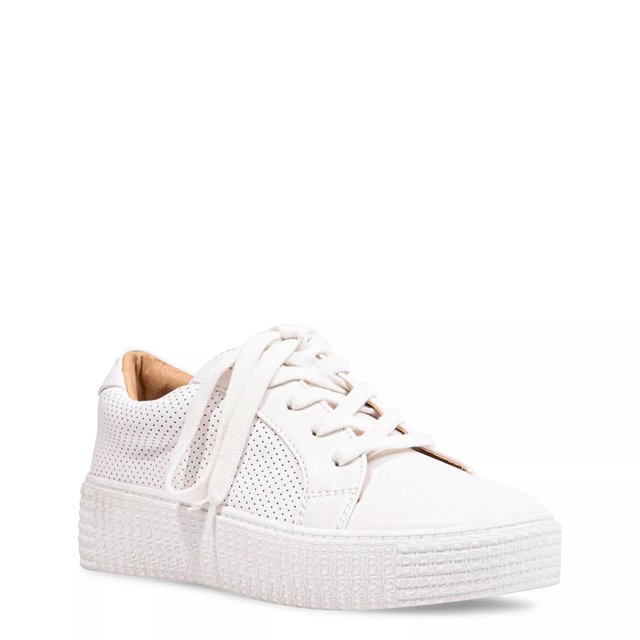 Contrato Genuino Inspector Steve Madden Women's Toliver Sneaker | The Shoe Company