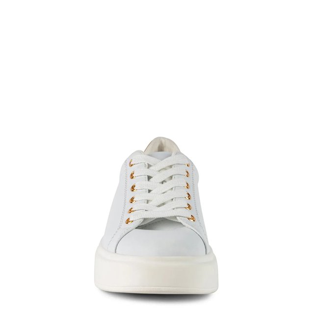 Dsw bank new arrivals