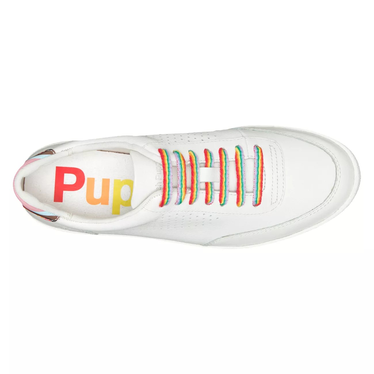 Charlie Court Pride Sneaker