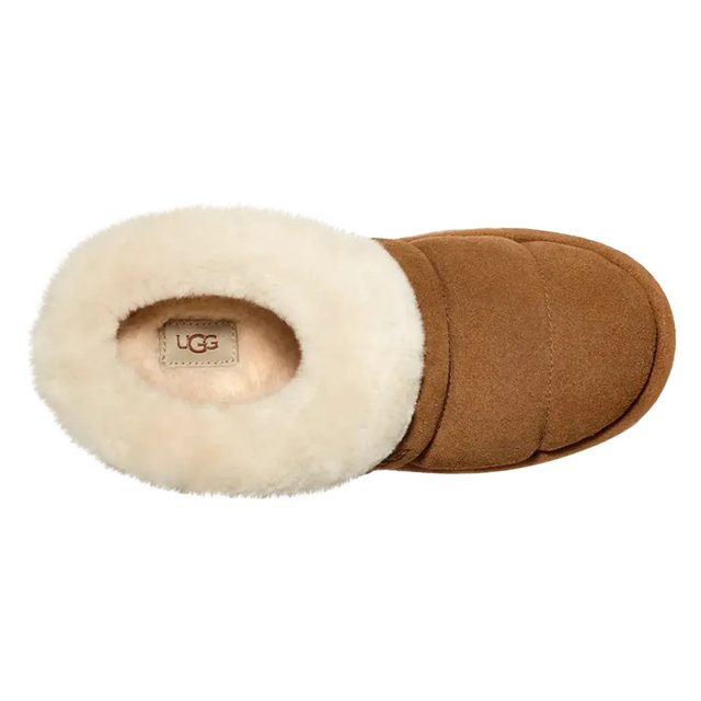 Dsw baby uggs store