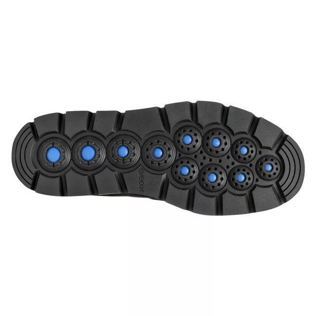Geox dsw discount