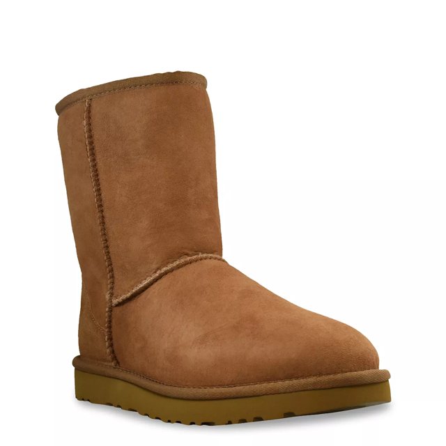 Dsw womens shoes uggs top