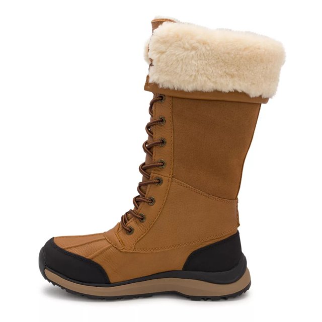 Ugg women's adirondack waterproof leather tall online boot