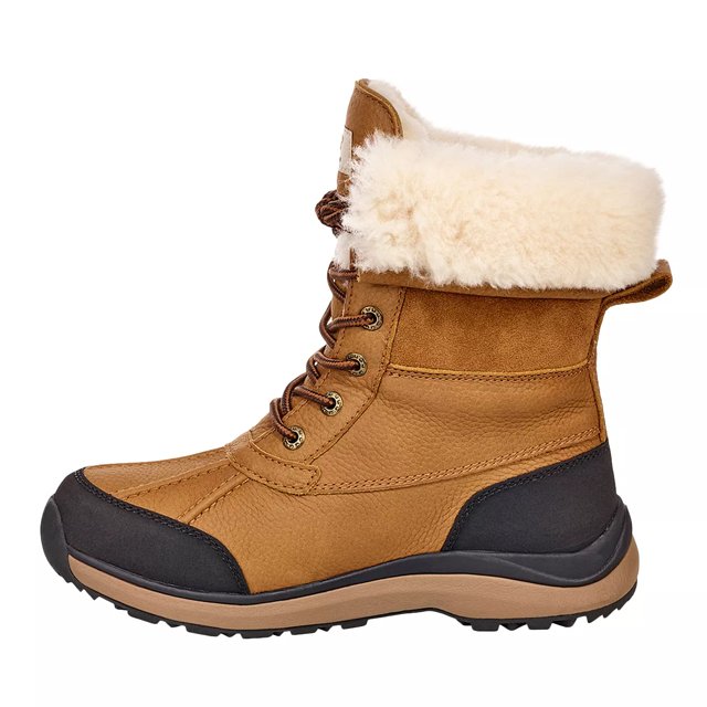 Dsw womens ugg boots sale