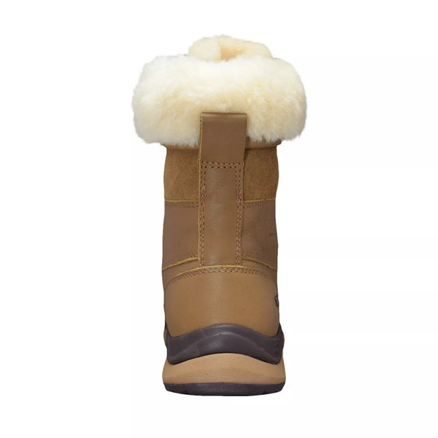 Dsw ugg boots sale