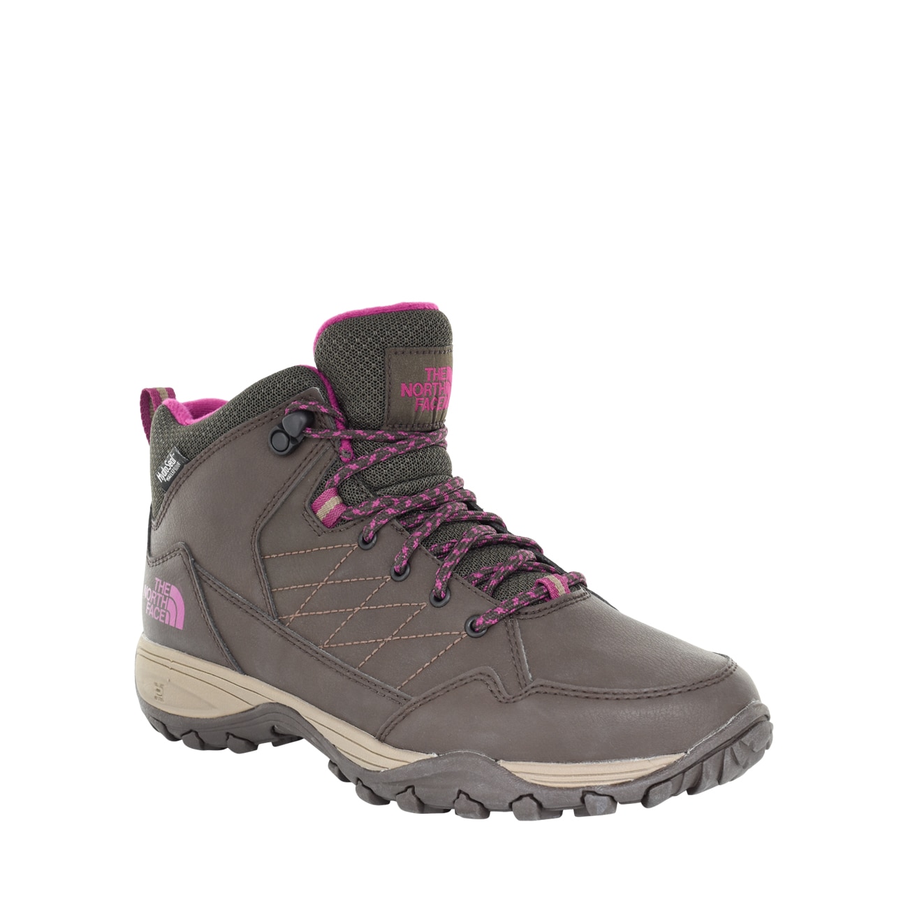 dsw north face boots