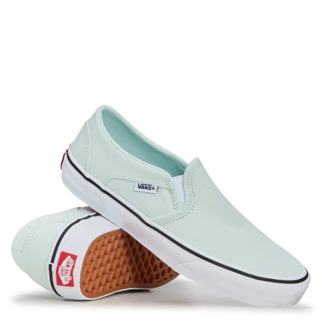 Vans Women's Asher Slip-On Sneaker The Shoe
