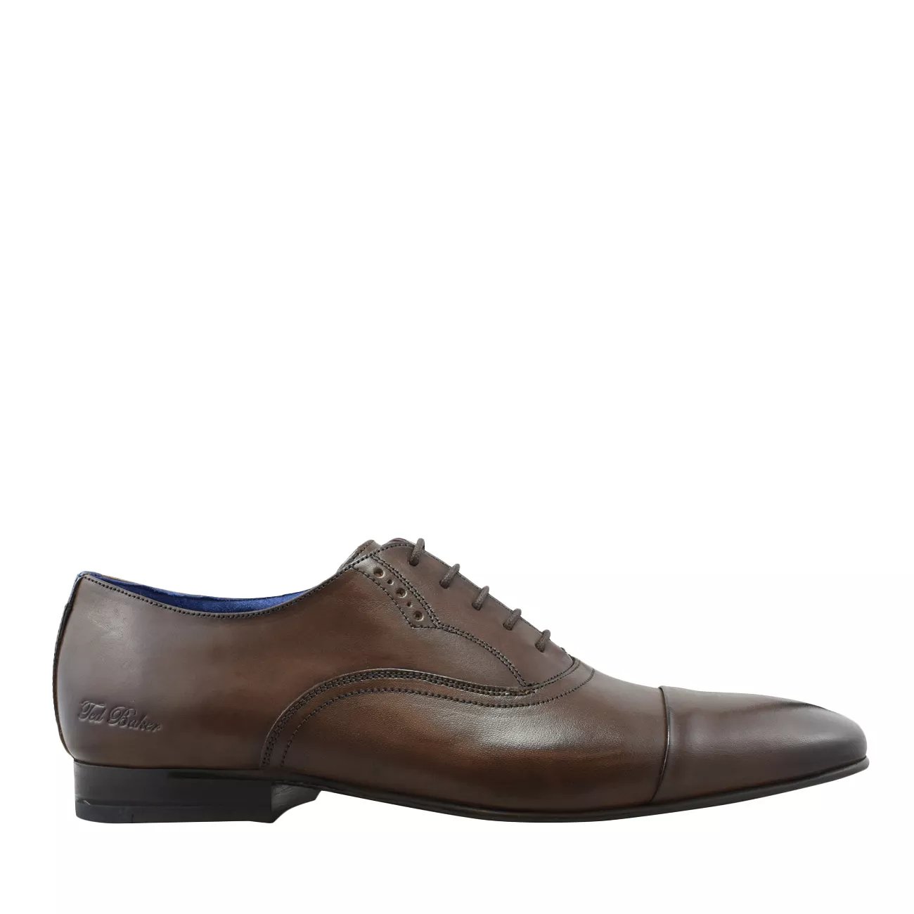 dsw ted baker