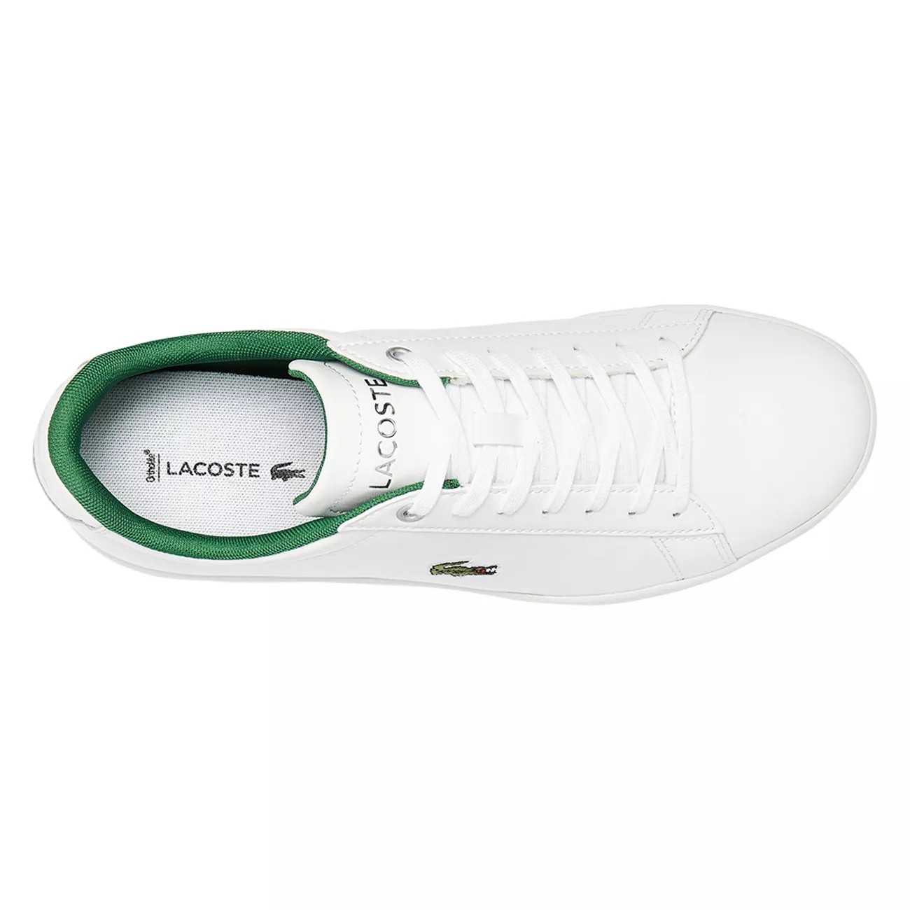 lacoste sizing