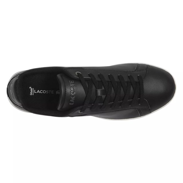 Dsw lacoste clearance