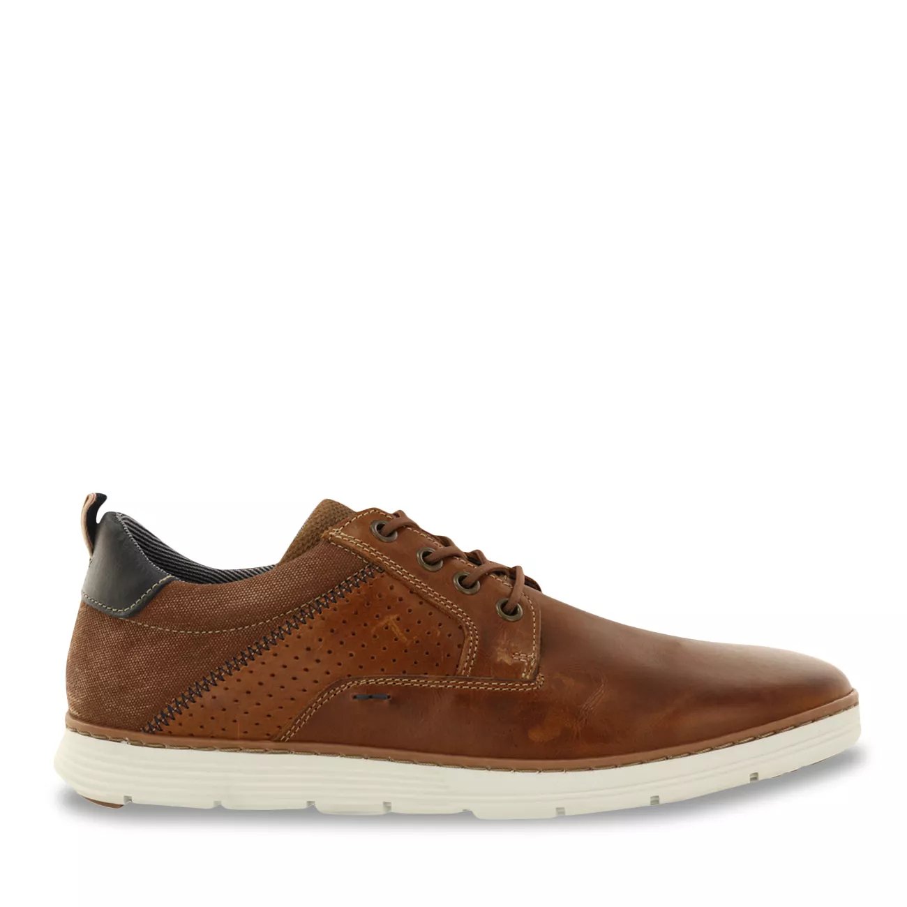 Bullboxer Charley Sneaker The Shoe Company