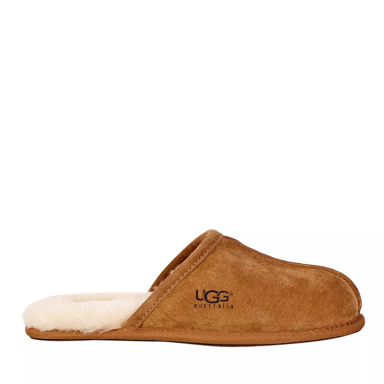 dsw mens uggs