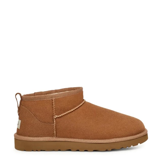 Dsw mens ugg boots discount