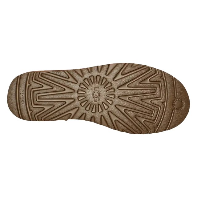 Dsw mens uggs online