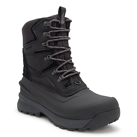 The North Face Women's ThermoBall Lace-Up Waterproof Winter Boot | DSW ...