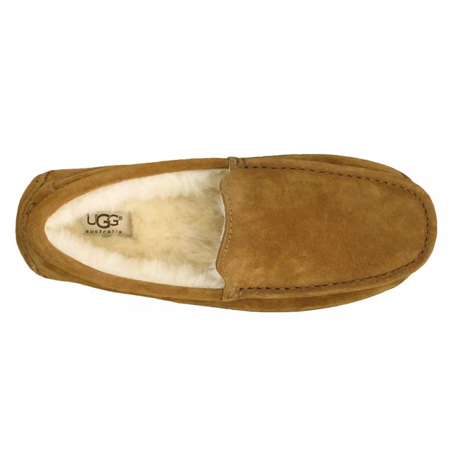 UGG Men's Ascot Moccasin Slipper | The Shoe Company