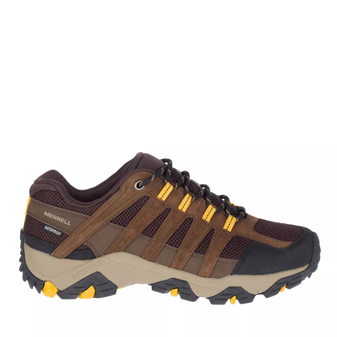 merrell dashen