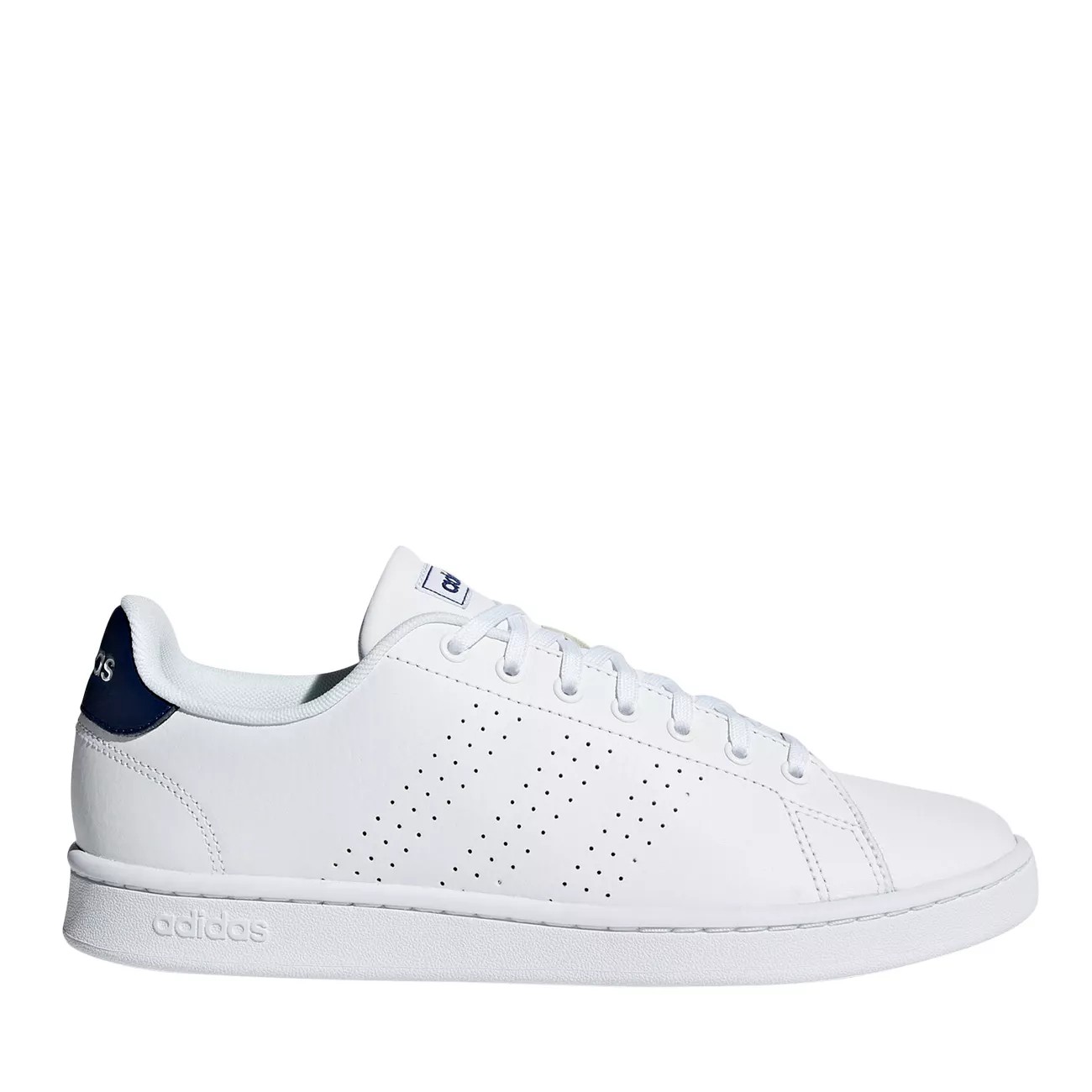 tennis adidas advantage