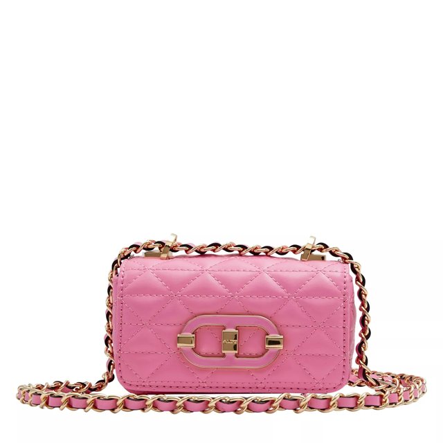 Aldo Mininaledar Crossbody Wallet Bag The Shoe Company