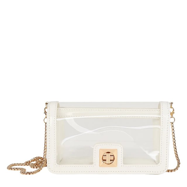 Clear bag with gold chain shop