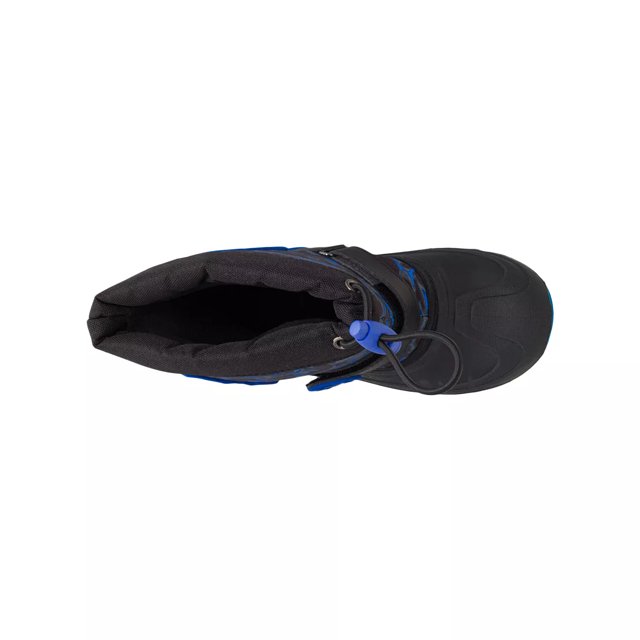 Dsw sales ecco boots