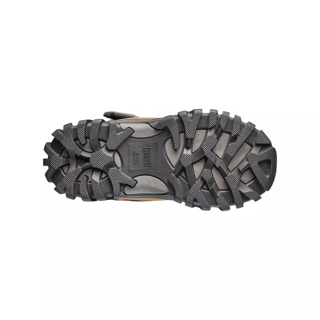 Dsw cougar store
