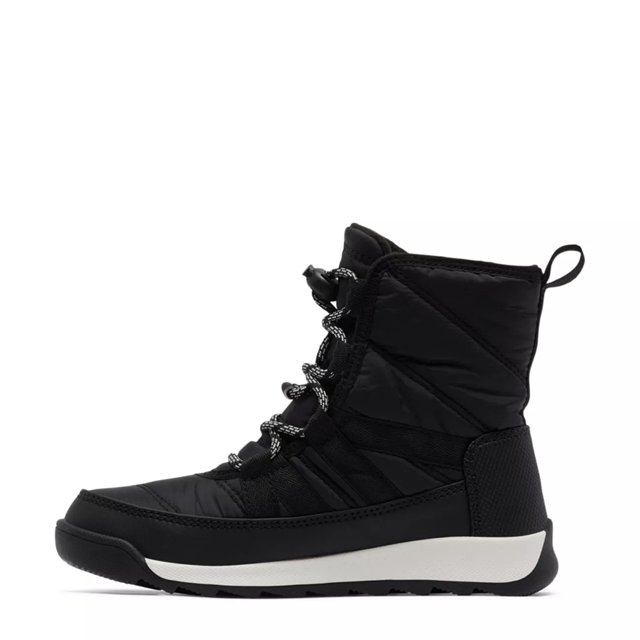 Dsw sorel whitney cheap