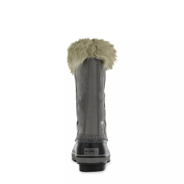 dsw joan of arctic