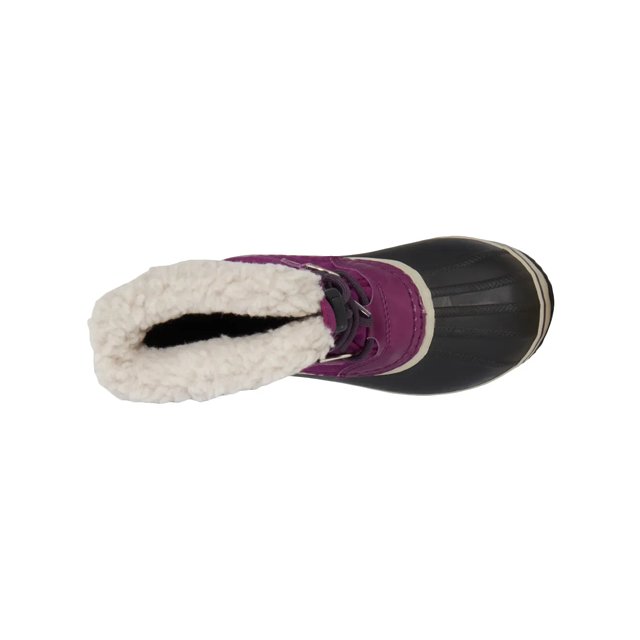 Dsw purple clearance boots