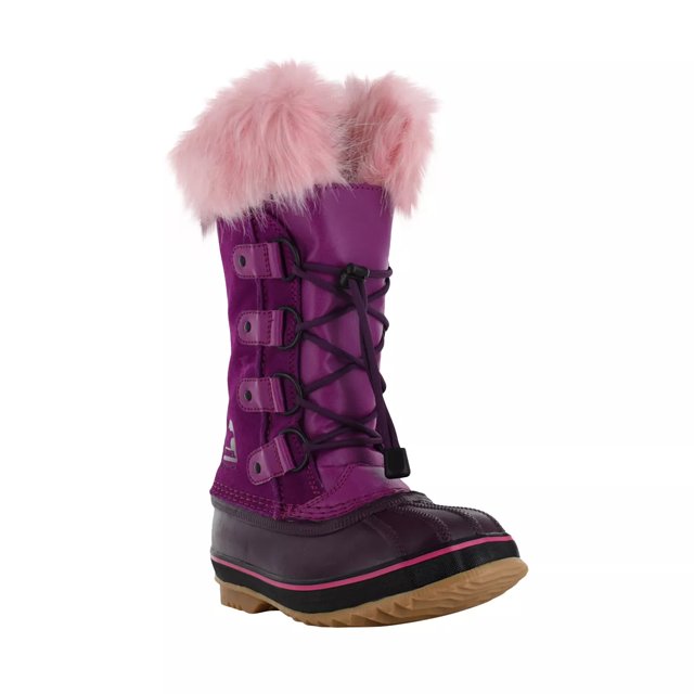 dsw joan of arctic