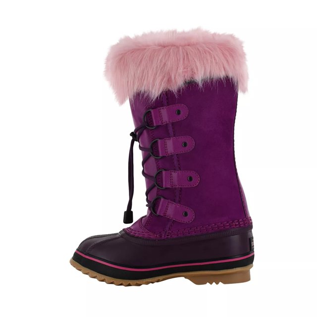 dsw joan of arctic