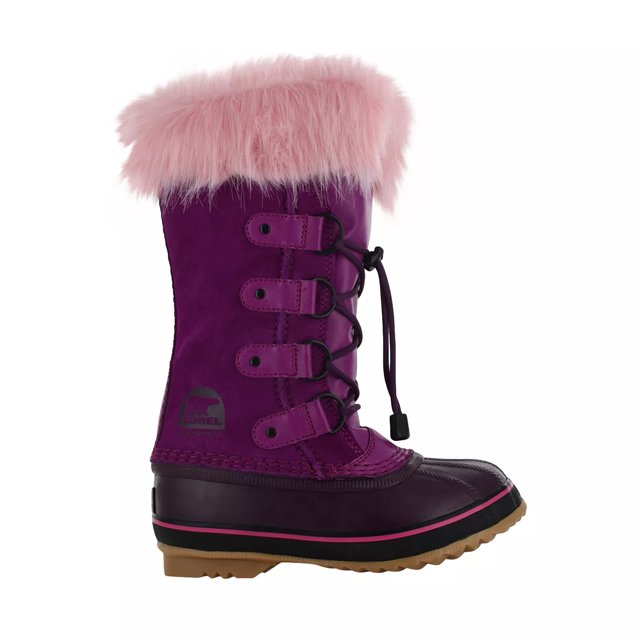 dsw joan of arctic
