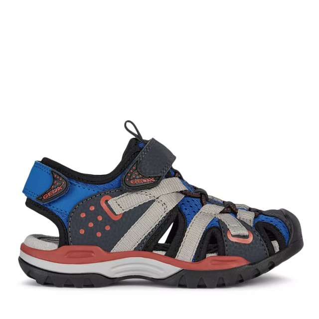 Geox dsw best sale
