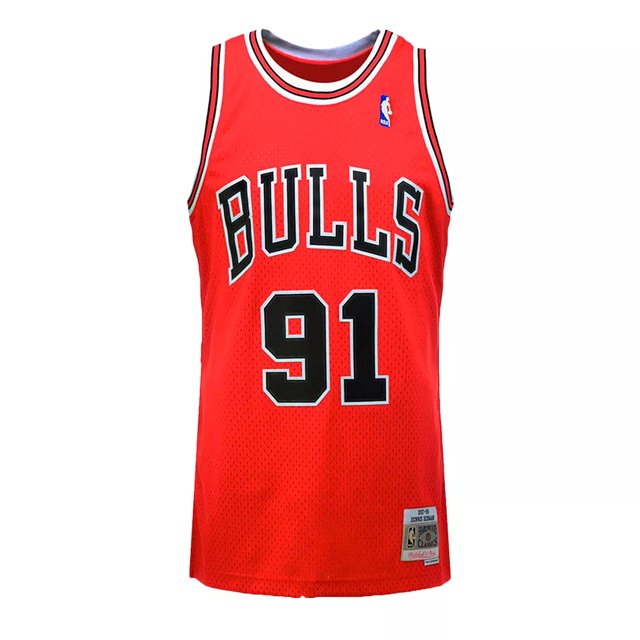 Mitchell & Ness Men's Chicago Bulls Dennis Rodman Pinstripe Swingman Jersey