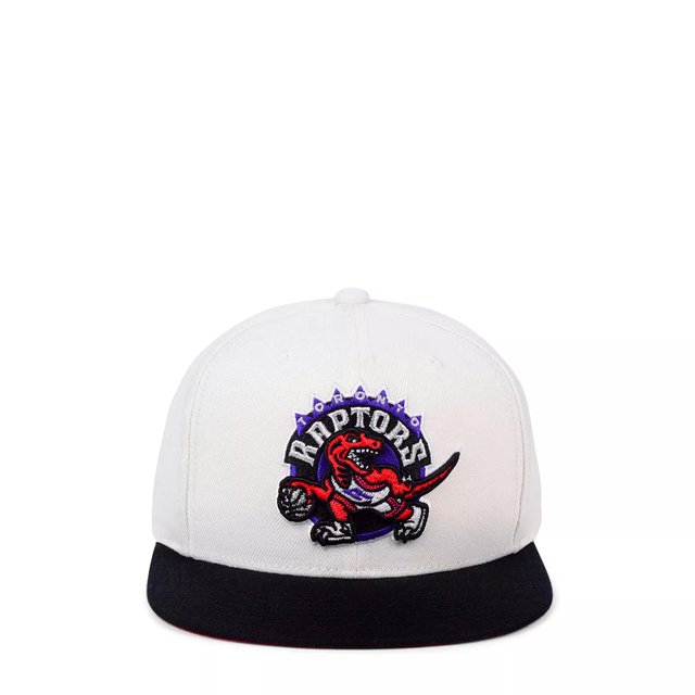 Nba raptors hat sales