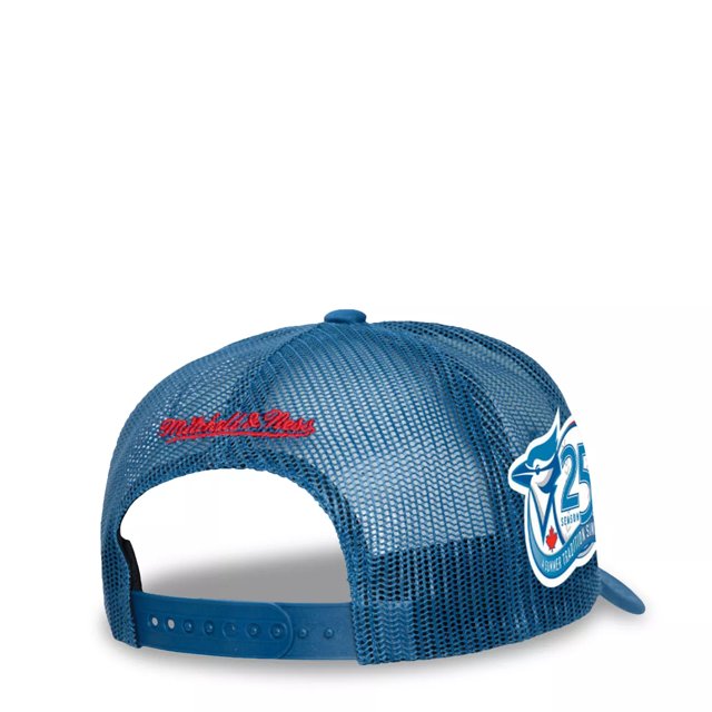 Blue jays snapback mitchell and ness online